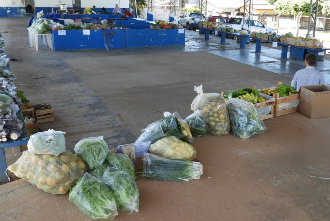 Programa Municipal de Aquisição de Alimentos fortalece agricultura familiar em Nova Monte Verde
